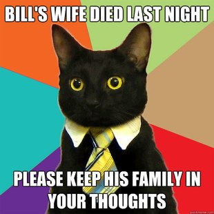 Business Cat