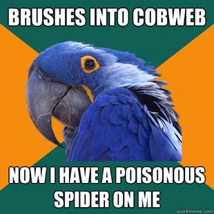 Paranoid Parrot