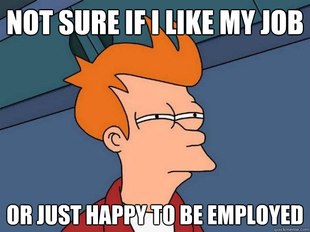 Futurama Fry