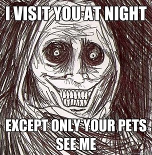 Horrifying Houseguest