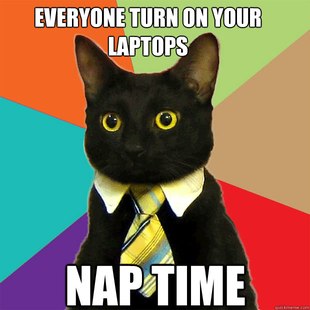 Business Cat