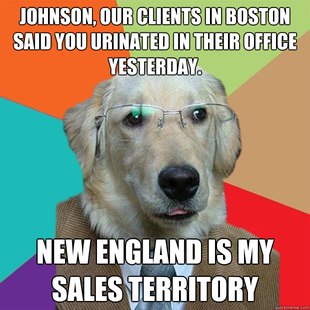 Business Dog