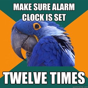 Paranoid Parrot