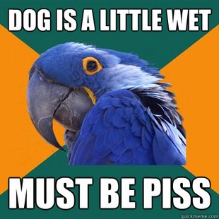 Paranoid Parrot