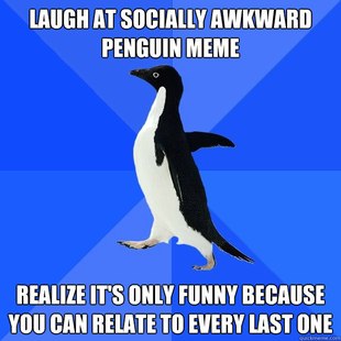 Socially Awkward Penguin
