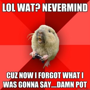 Gaming Gopher