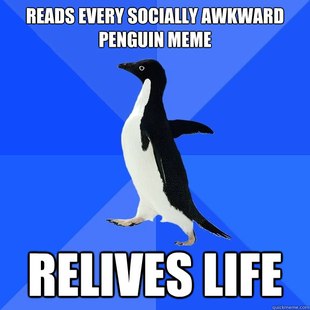 Socially Awkward Penguin