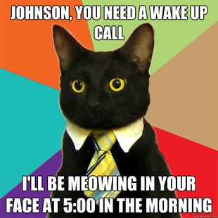 Business Cat