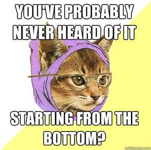 Hipster Kitty