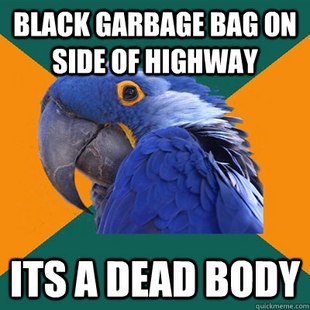 Paranoid Parrot