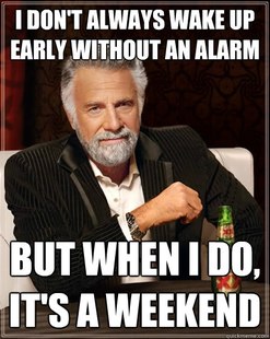 The Most Interesting Man In The World