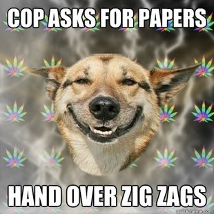 Stoner Dog