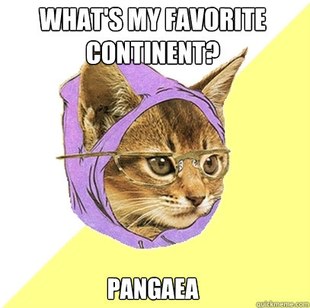 Hipster Kitty