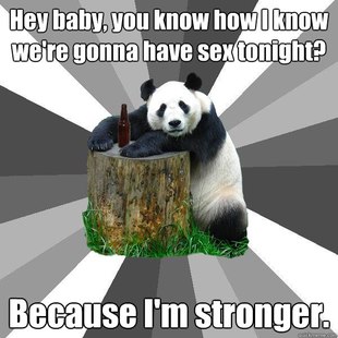 Pickup-Line Panda