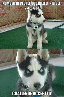 Insanity Puppy