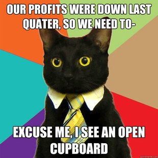 Business Cat