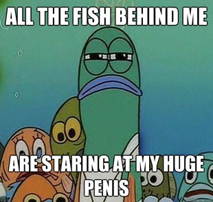 Serious fish SpongeBob