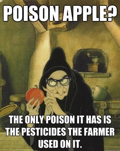 Hipster Snow White Witch