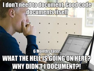Programmer