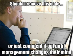 Programmer