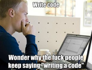 Programmer