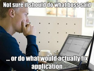 Programmer