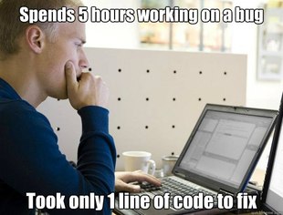 Programmer