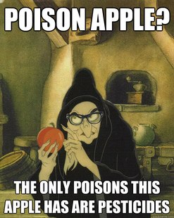 Hipster Snow White Witch