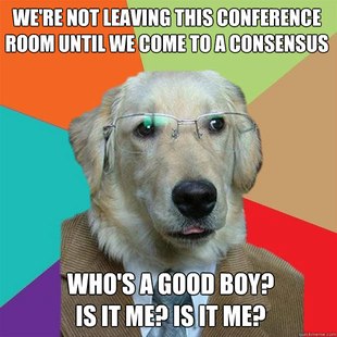 Business Dog