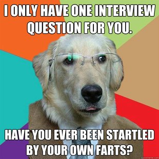 Business Dog