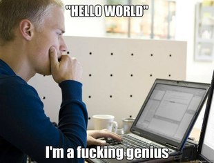 Programmer