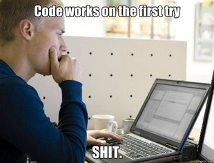 Programmer