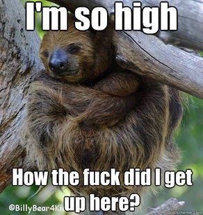 High Sloth