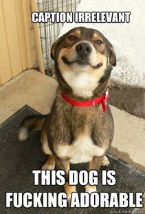 Good Dog Greg