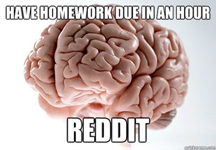 Scumbag Brain
