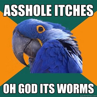 Paranoid Parrot