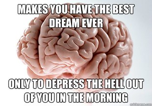 Scumbag Brain