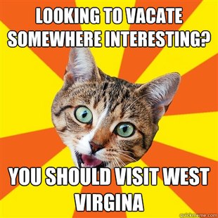 Bad Advice Cat