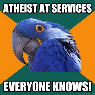 Paranoid Parrot