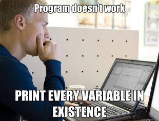 Programmer