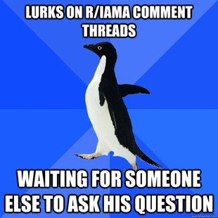 Socially Awkward Penguin