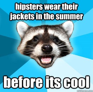 Lame Pun Coon