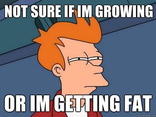 Futurama Fry