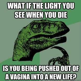 Philosoraptor