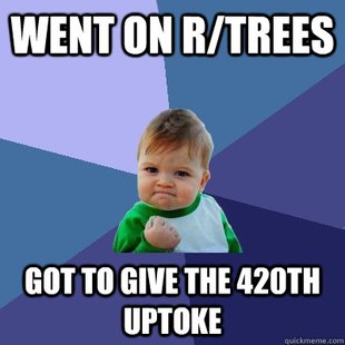 Success Kid