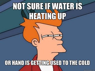 Futurama Fry
