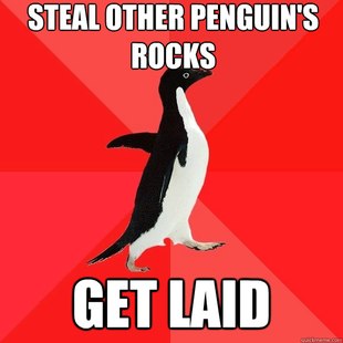 Socially Awesome Penguin