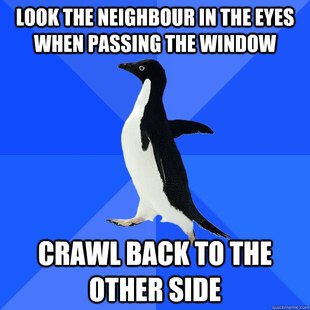Socially Awkward Penguin