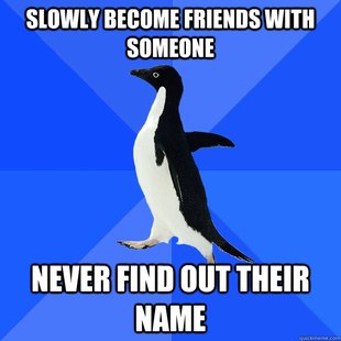 Socially Awkward Penguin