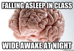 Scumbag Brain